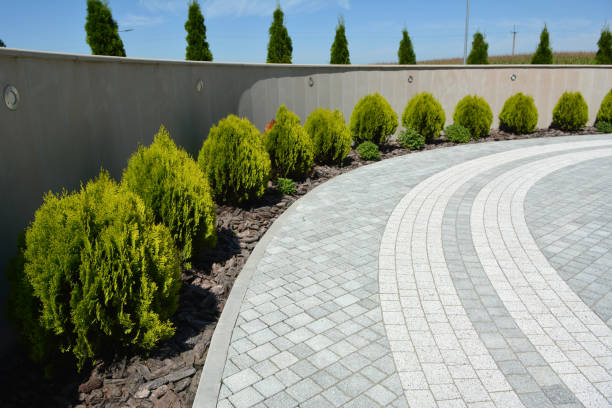 Best Driveway Paving Contractor  in Goldstream, AK